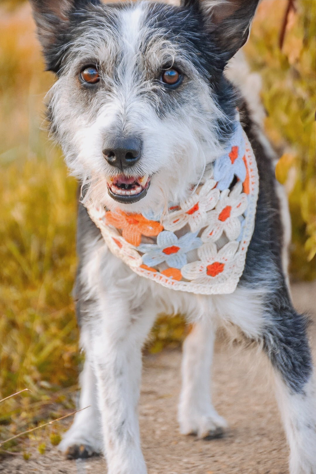 Flower dog bandanna