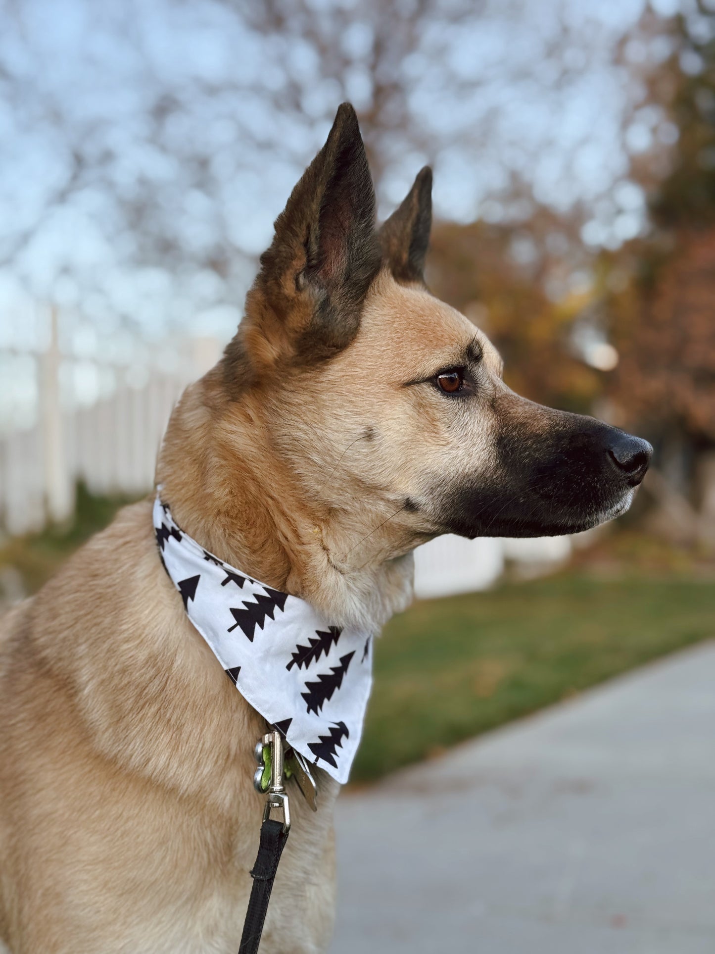 Pine tree tie on dog bandana