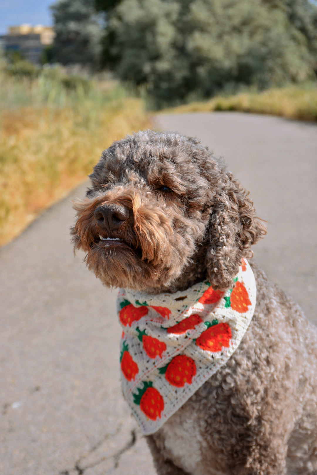 Strawberry dog bandana