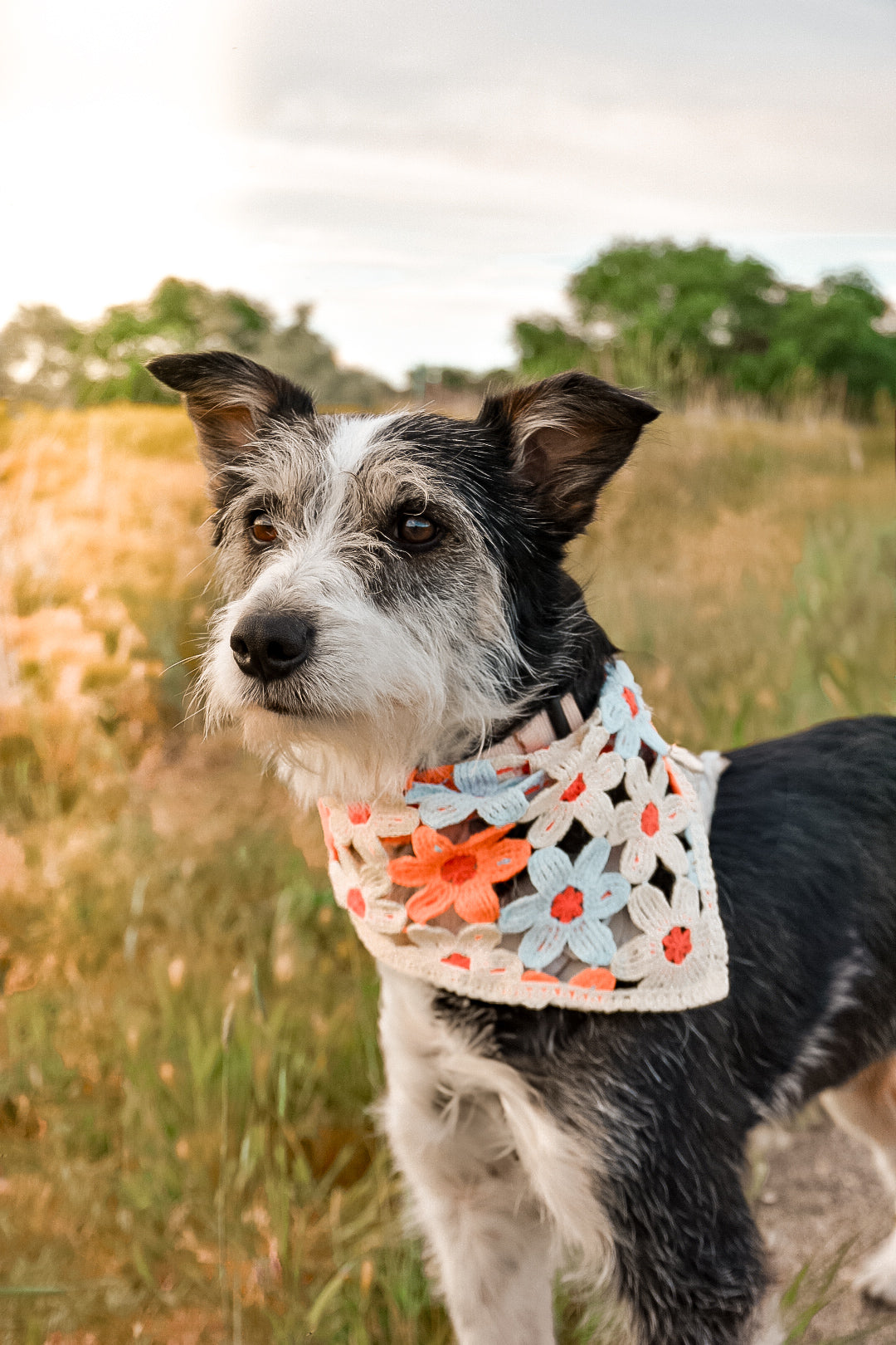 Flower dog bandanna