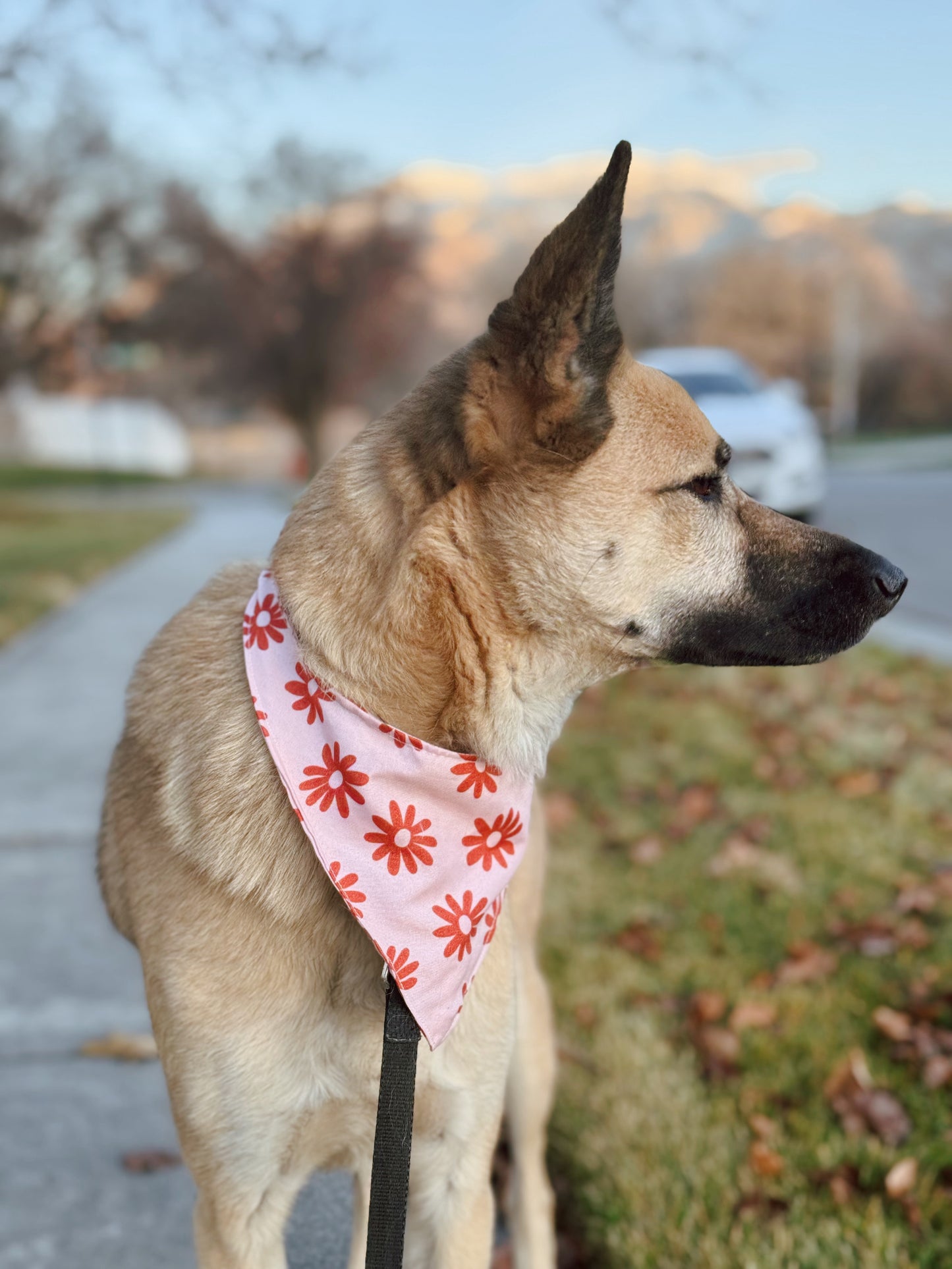 Pink tie on dog bandana