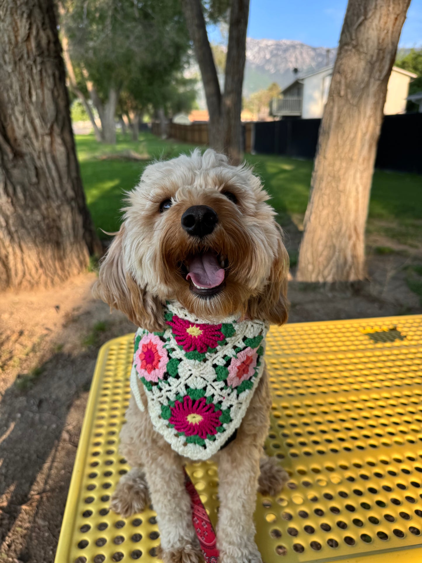 Dog bandana