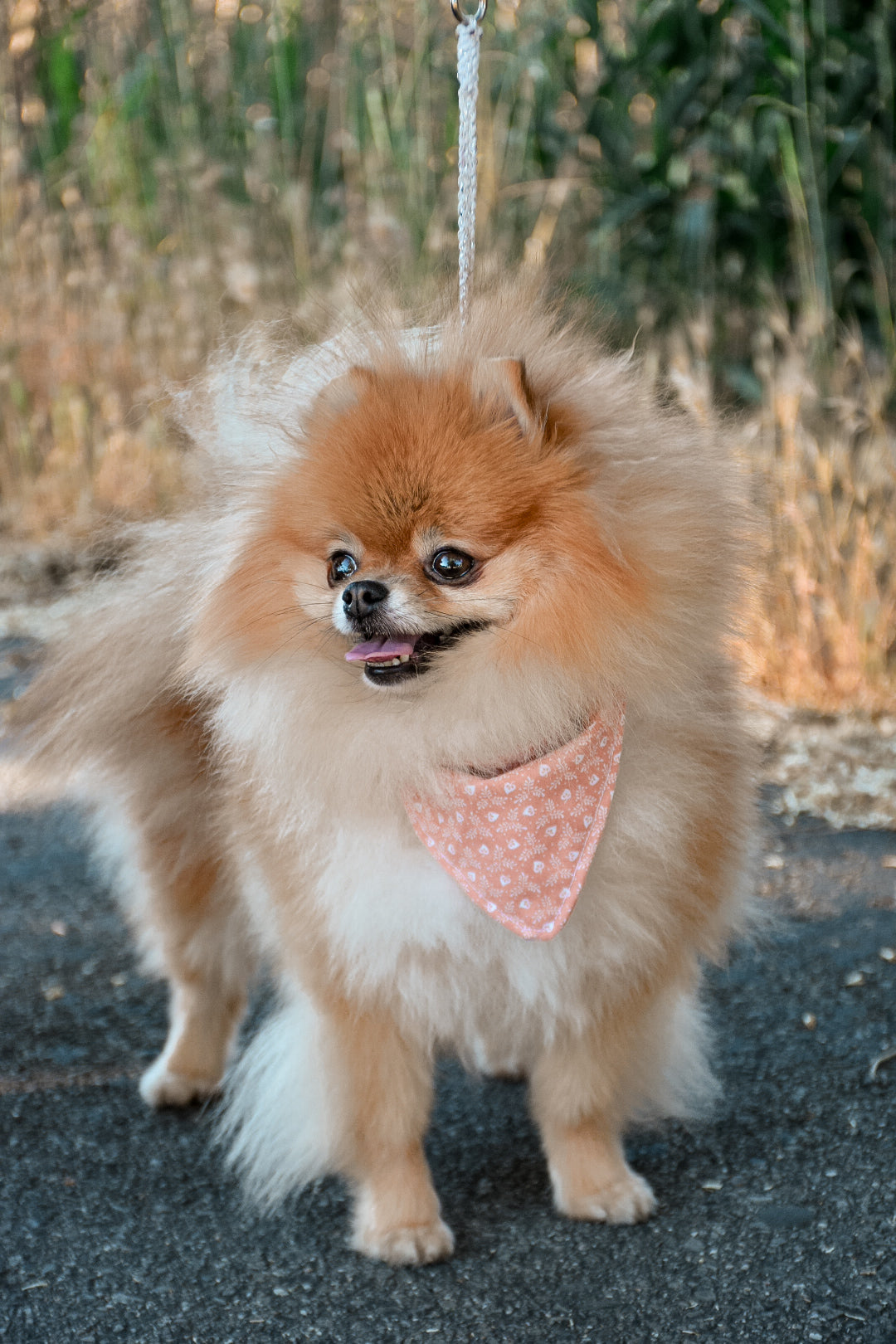 Peach flower bandana