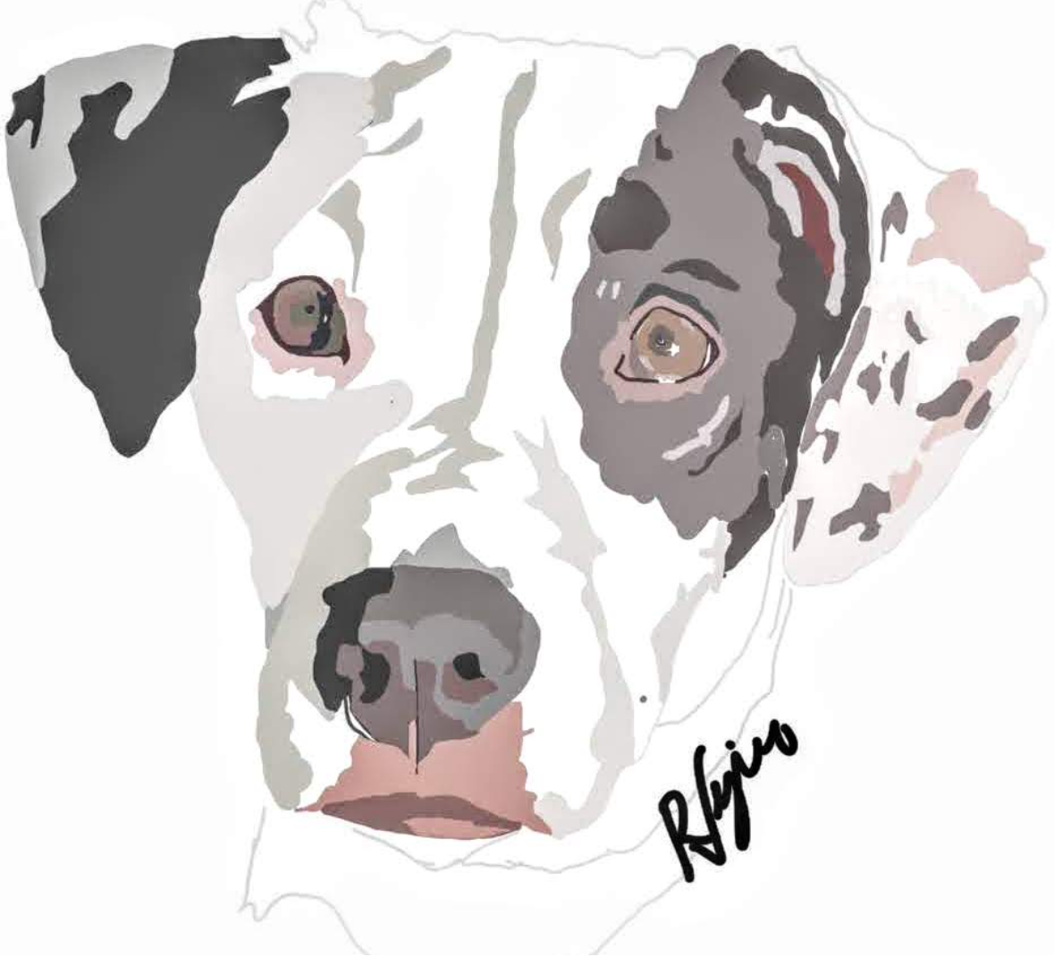 Custom pet portrait