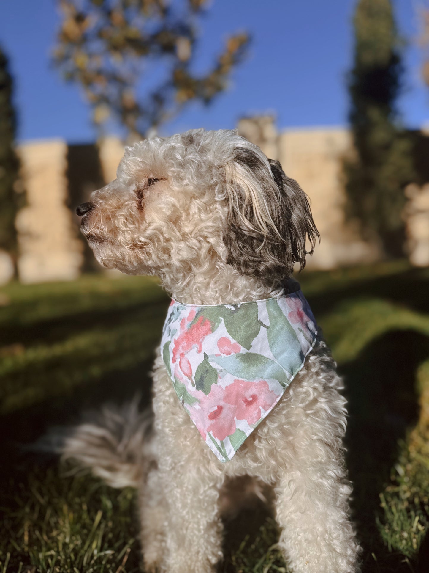 Water color floral tie on dog bandana