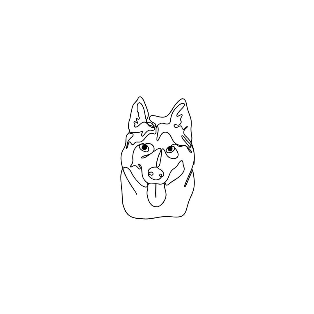 Engraved pet necklace