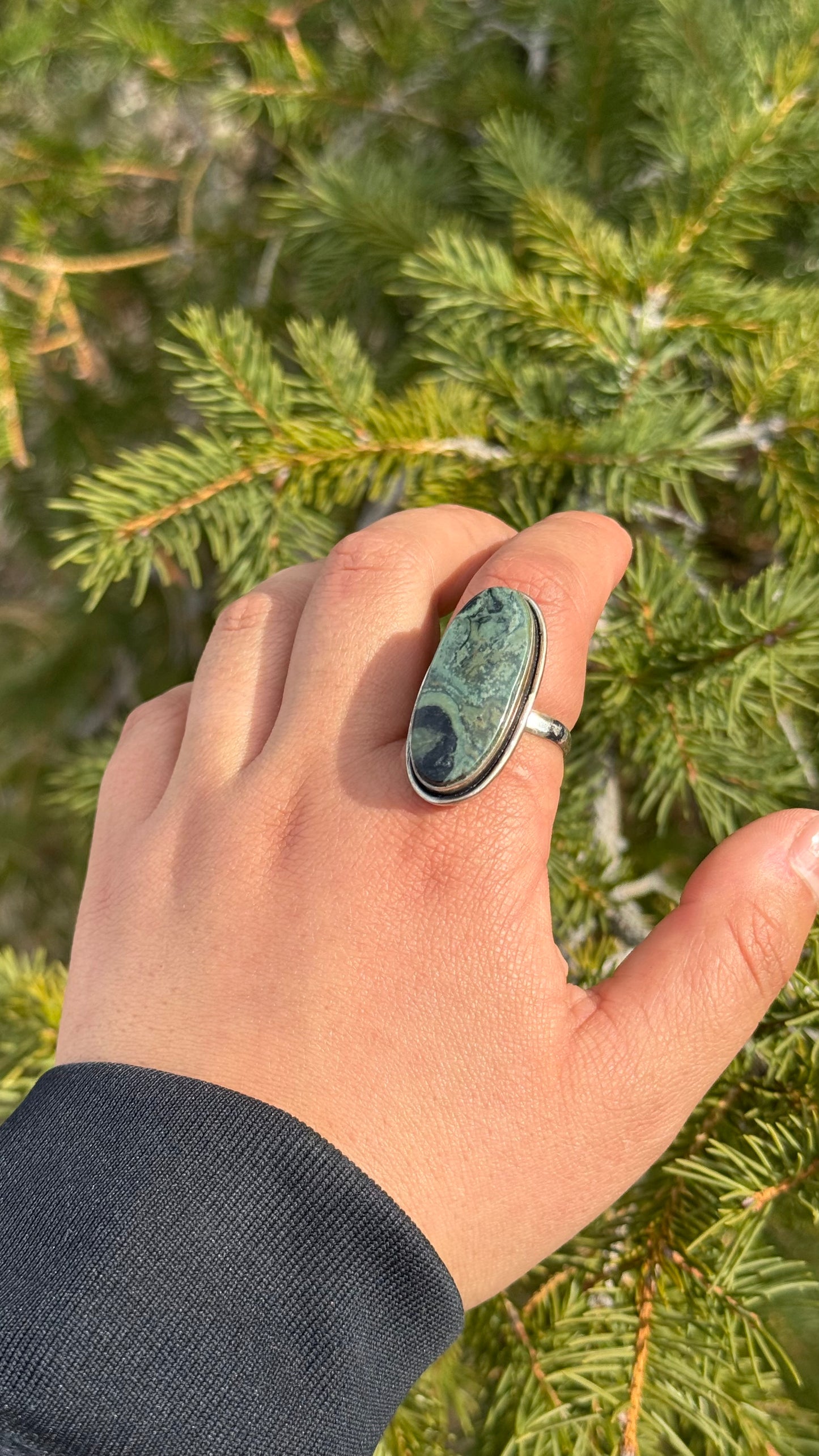 Galaxy Jasper Adjustable ring