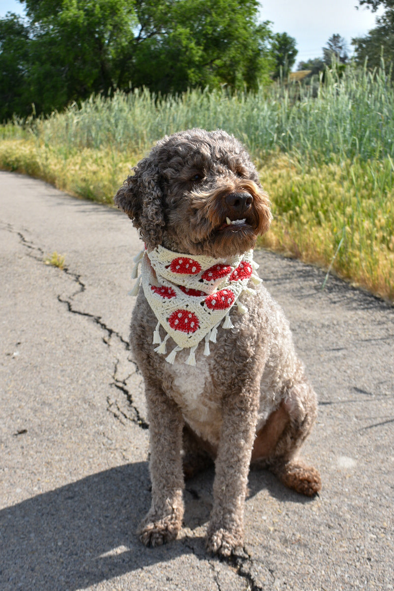 Mushroom dog bandana