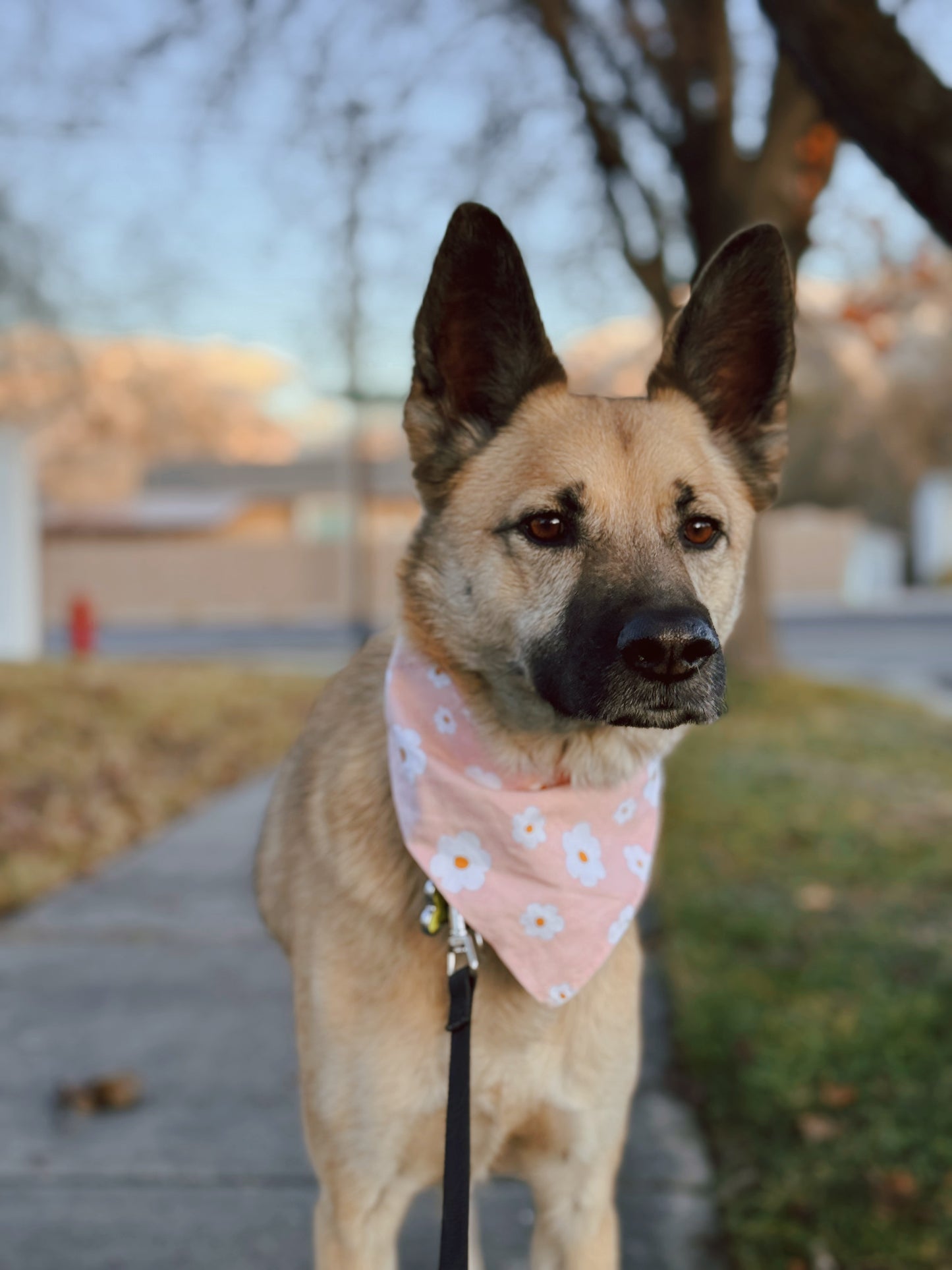 Pink tie on dog bandana