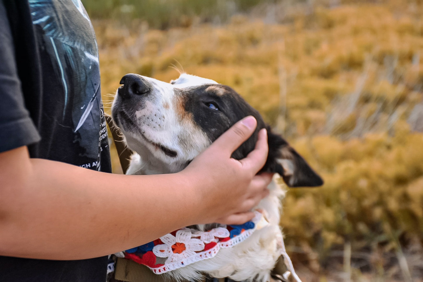 Flower dog bandanna