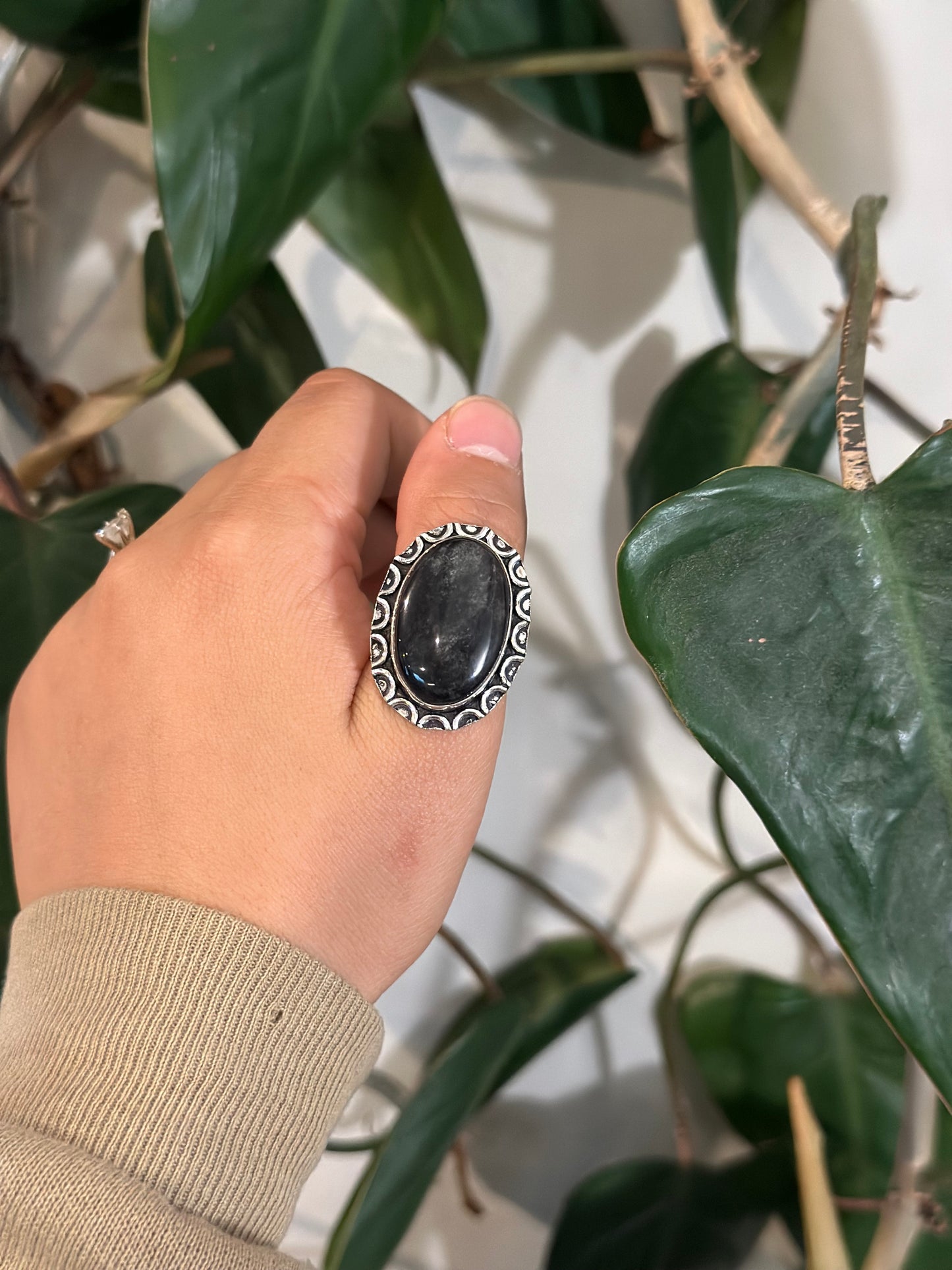 Size 10 petrified wood