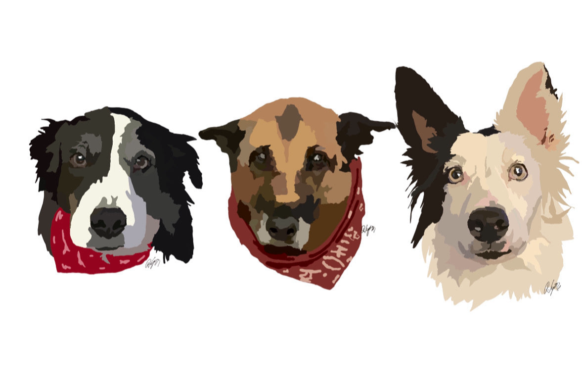 Custom pet portrait