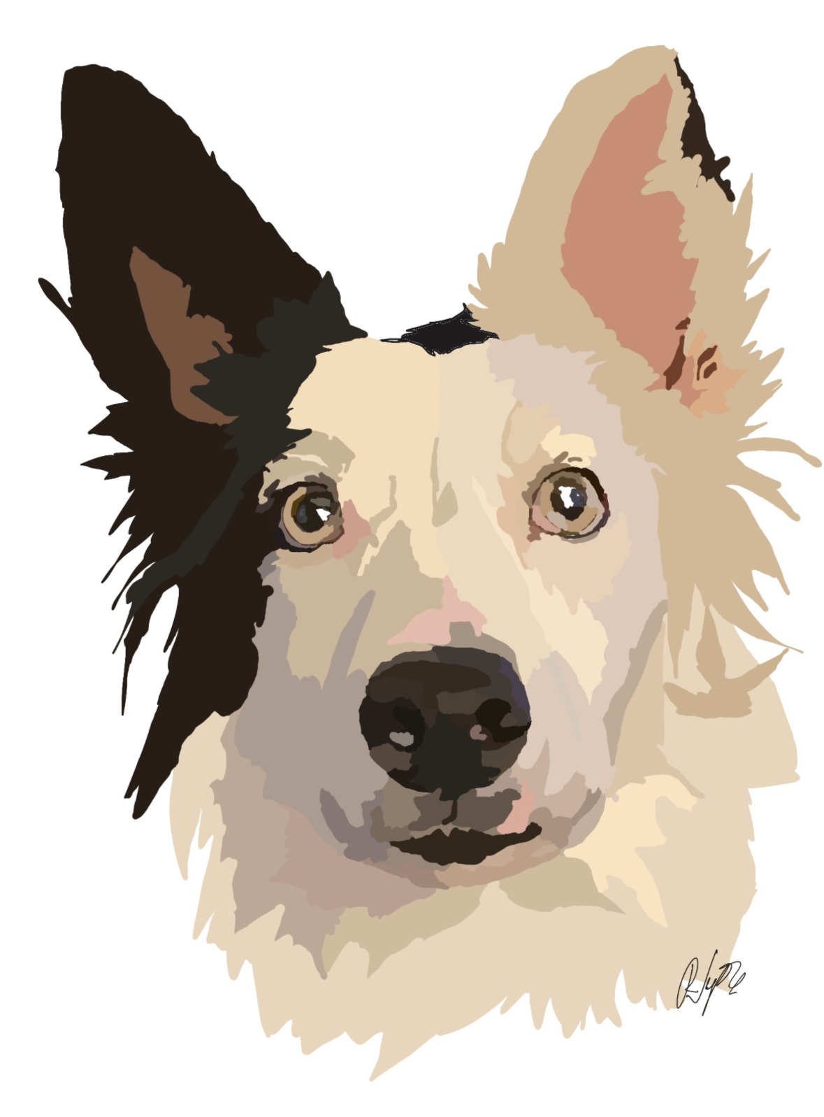 Custom pet portrait