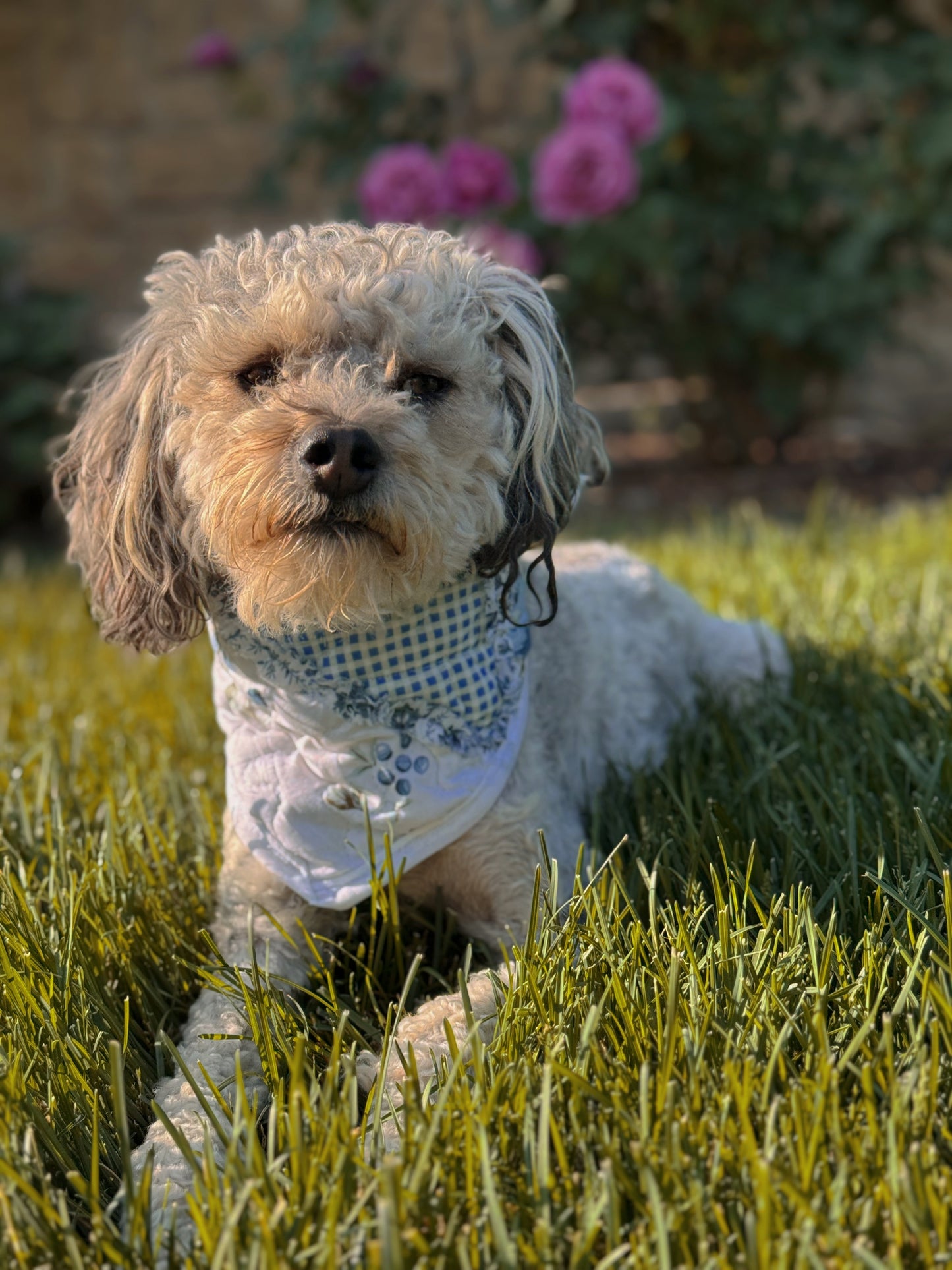 Dog quilt bandana