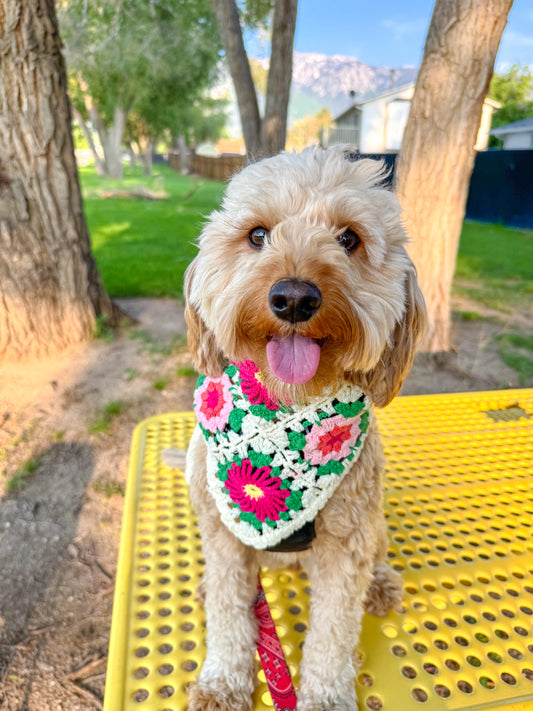 Dog bandana