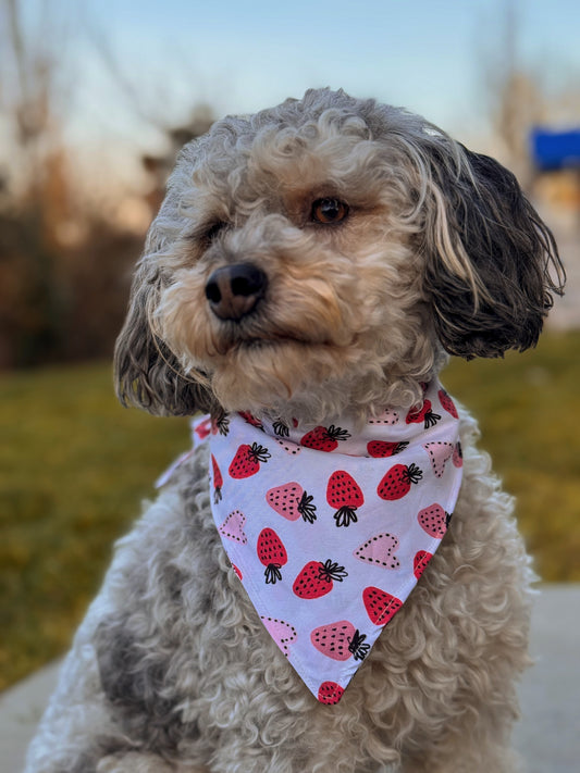 Strawberry tie on dog bandana