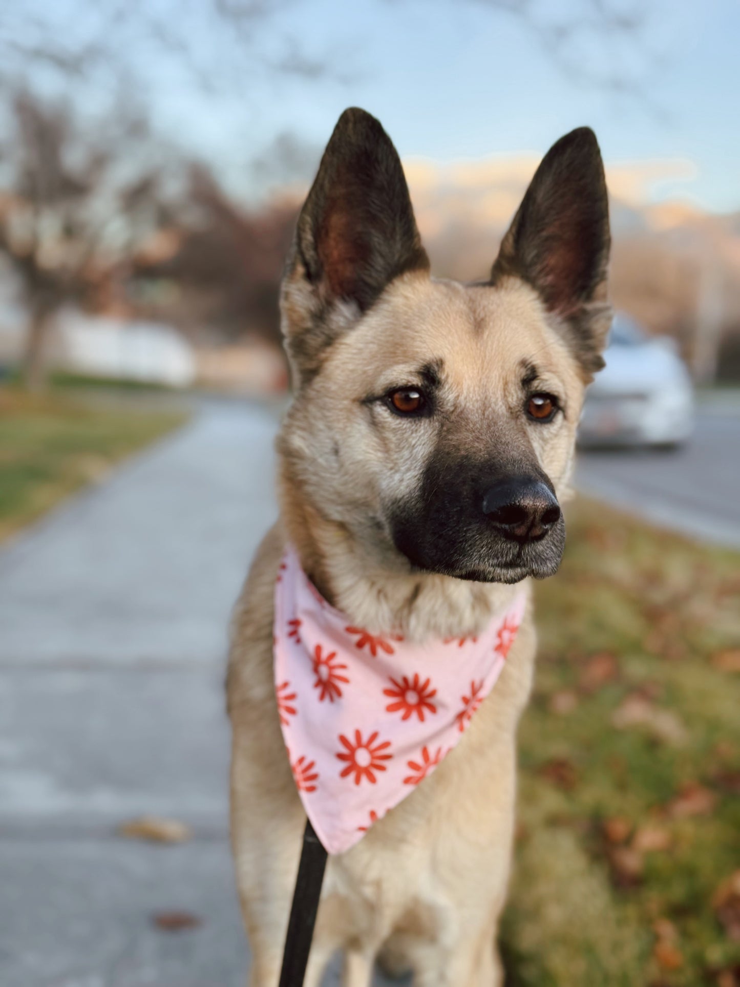 Pink tie on dog bandana
