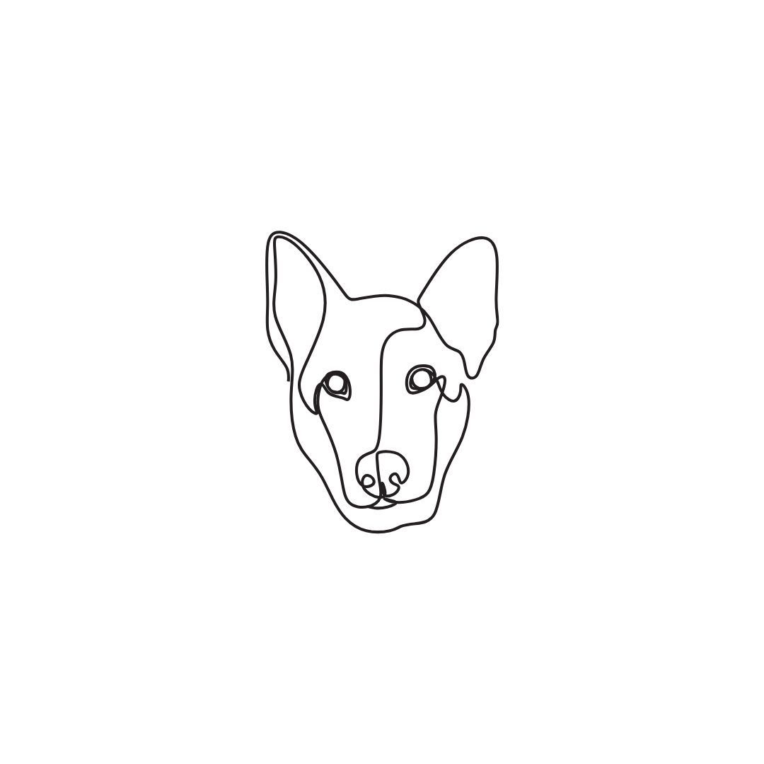 Engraved pet necklace