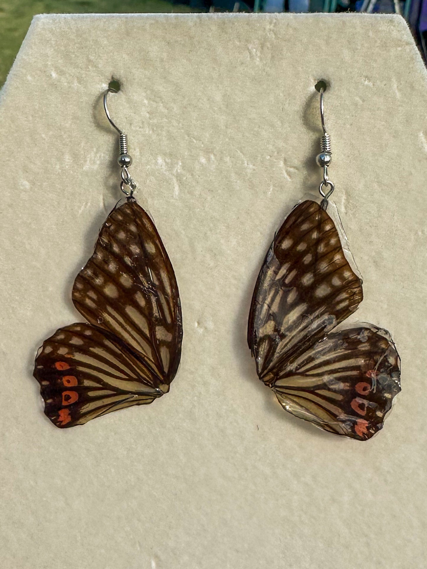 Butterfly wing earrings