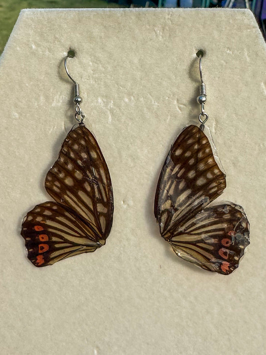 Butterfly wing earrings