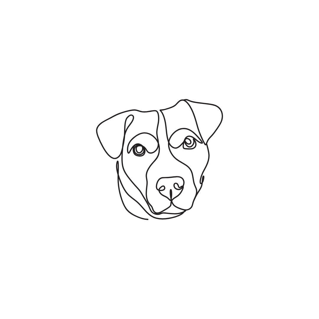 Engraved pet necklace