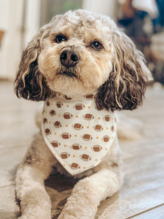 Football and star bandana
