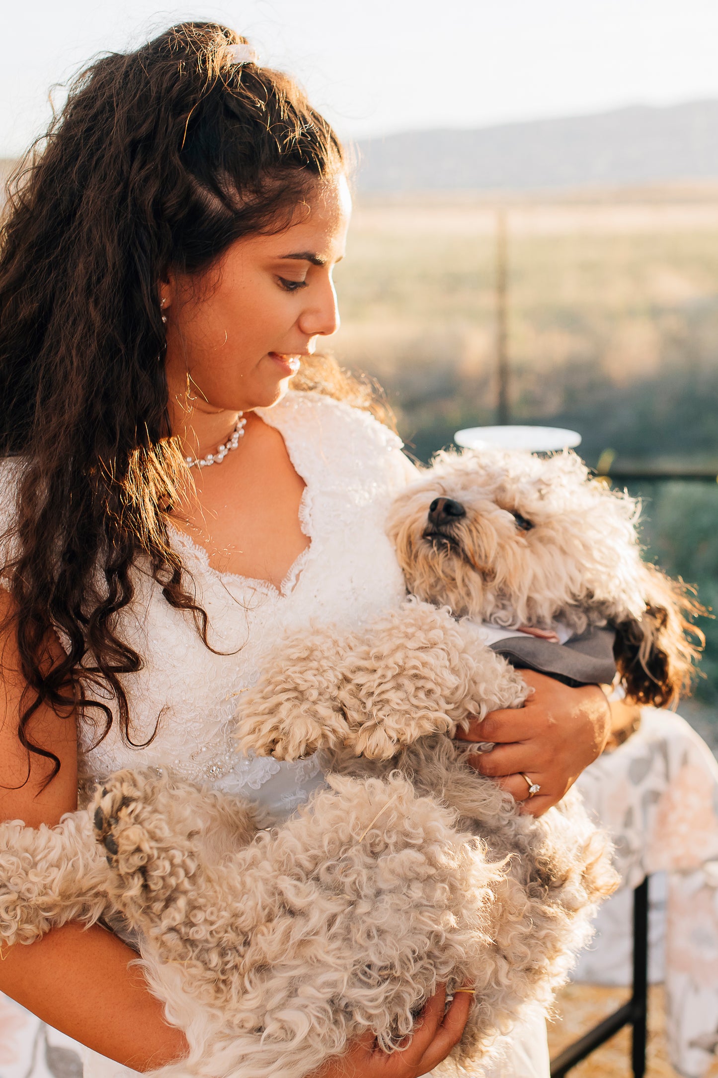 Wedding day pet attendant