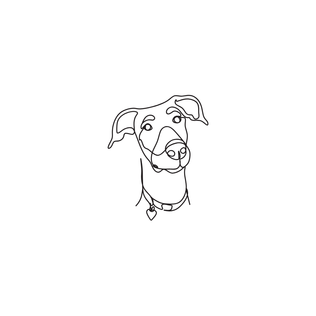 Engraved pet necklace