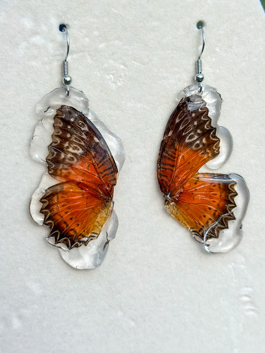 Butterfly earrings