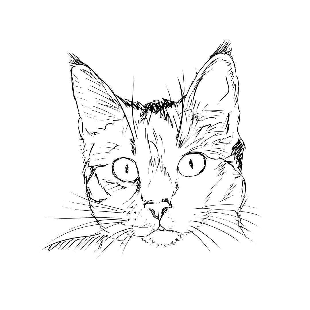 Engraved pet necklace