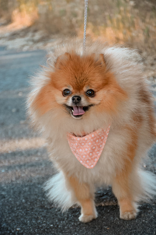 Peach flower bandana