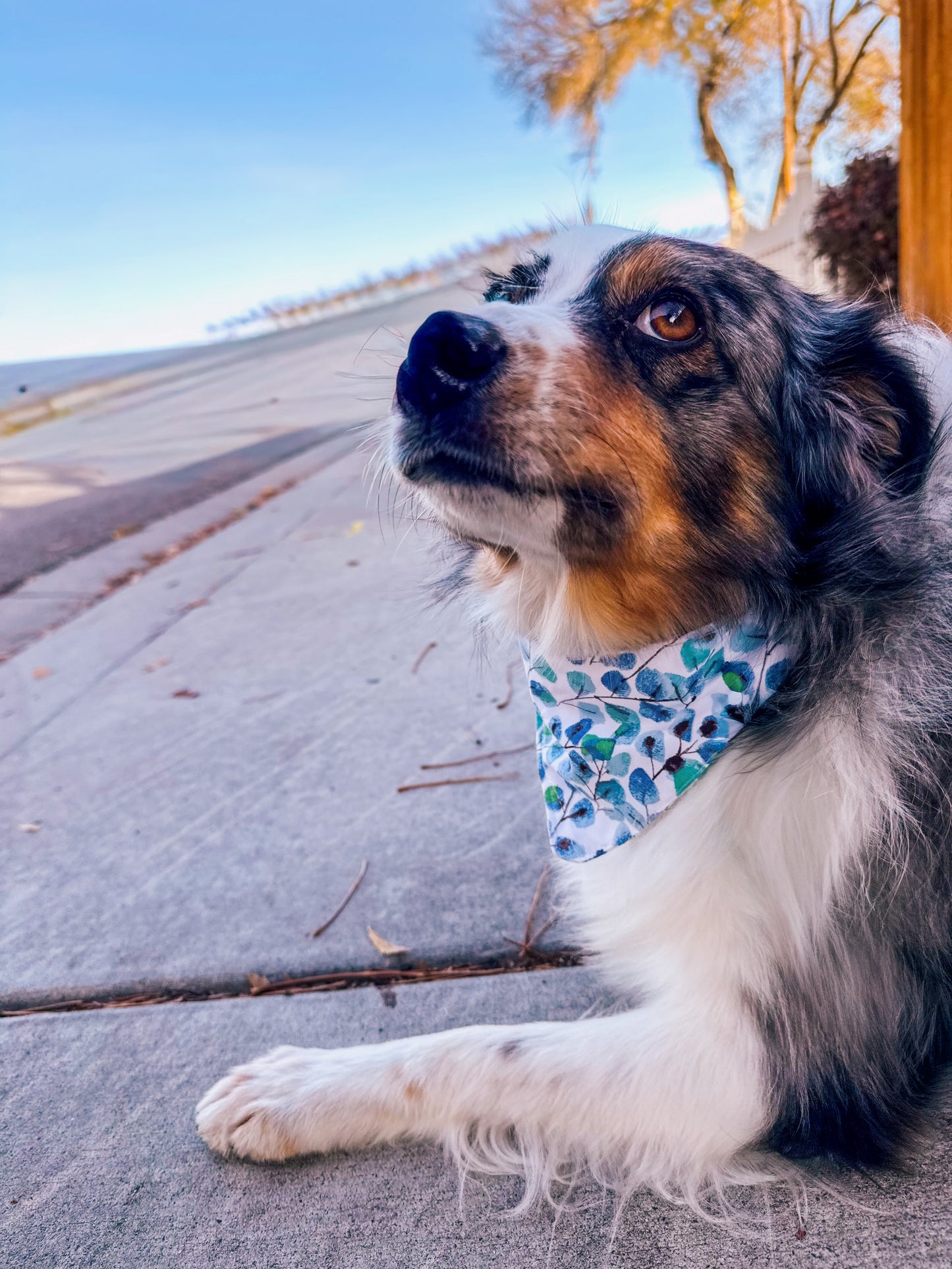 Winter watercolor tie on dog bandana