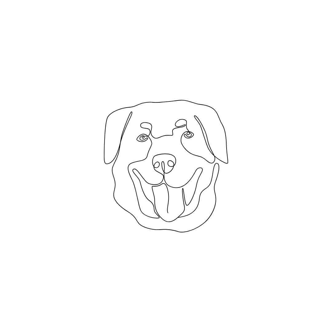 Engraved pet necklace