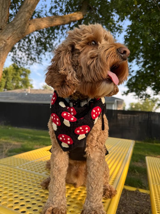 Dog bandana
