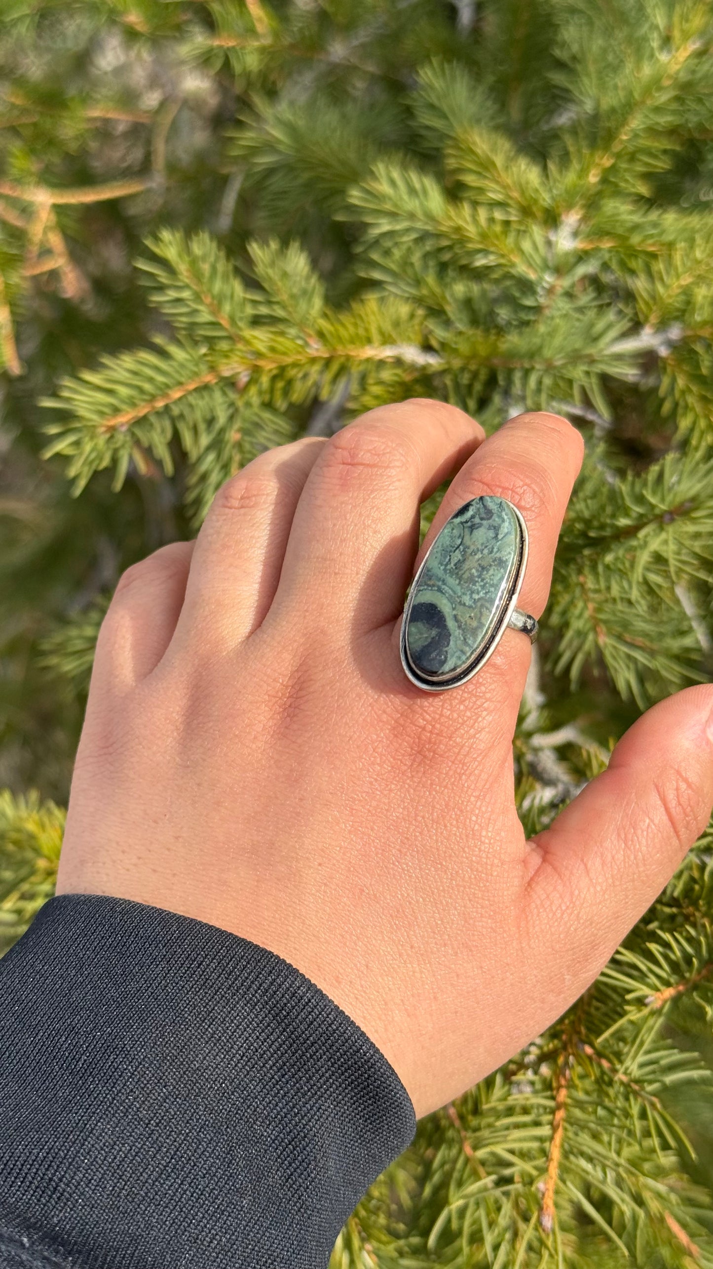 Galaxy Jasper Adjustable ring