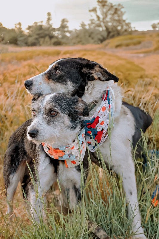Flower dog bandanna