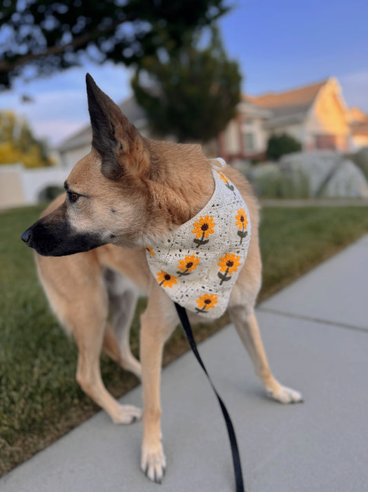 Dog bandana