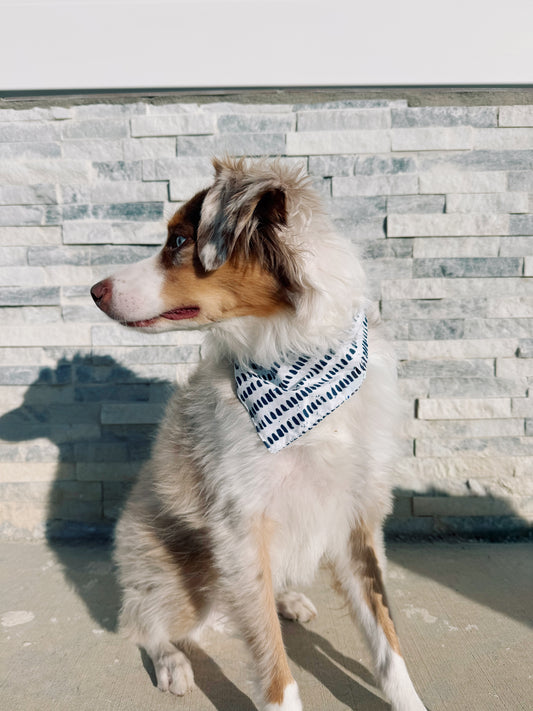 Navy dot tie on dog bandana