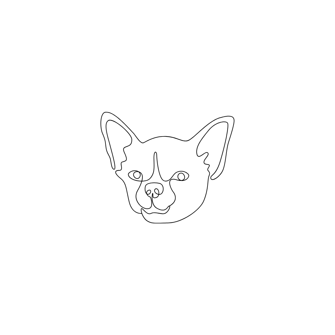 Engraved pet necklace