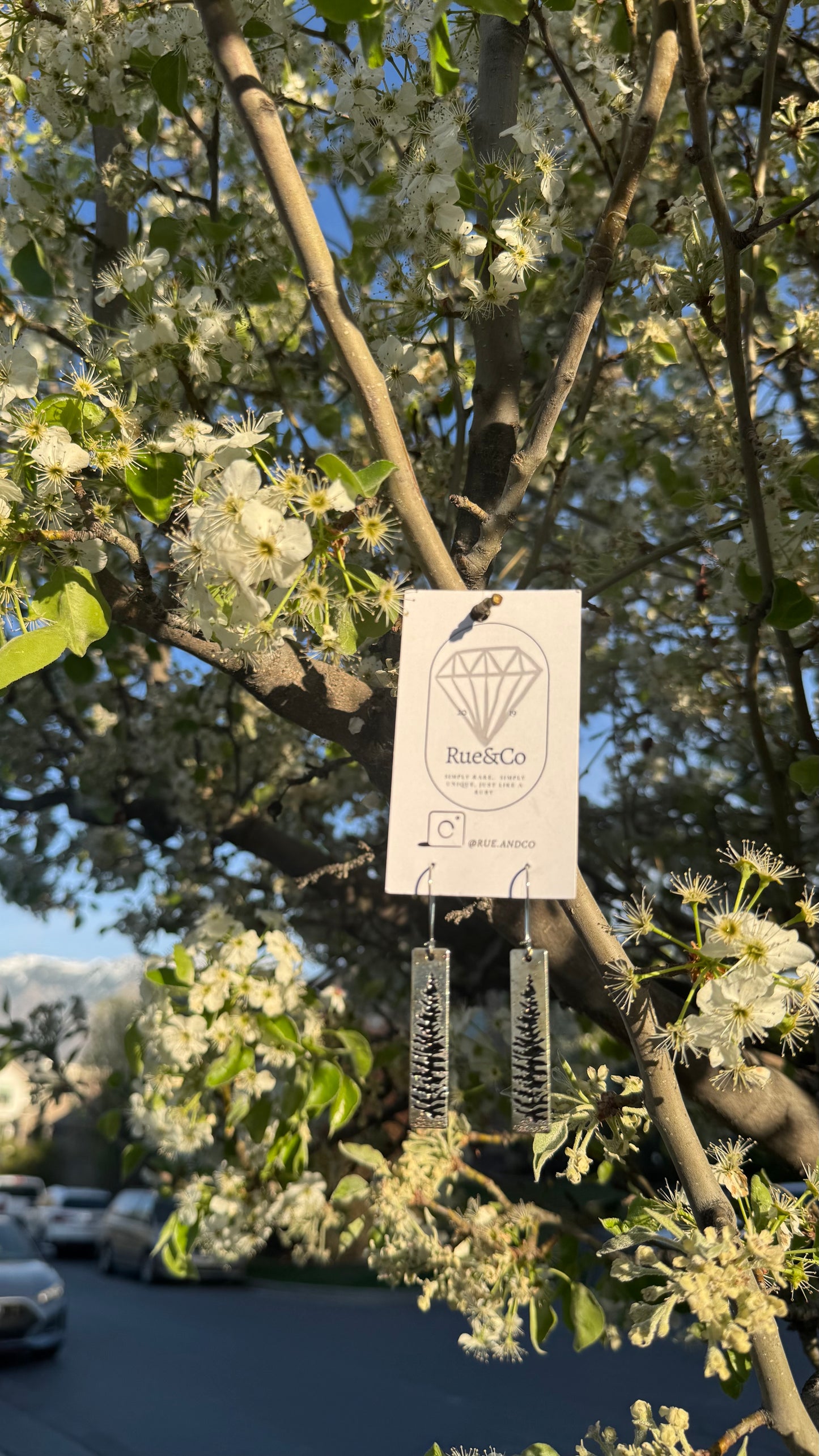 Pine tree earrings