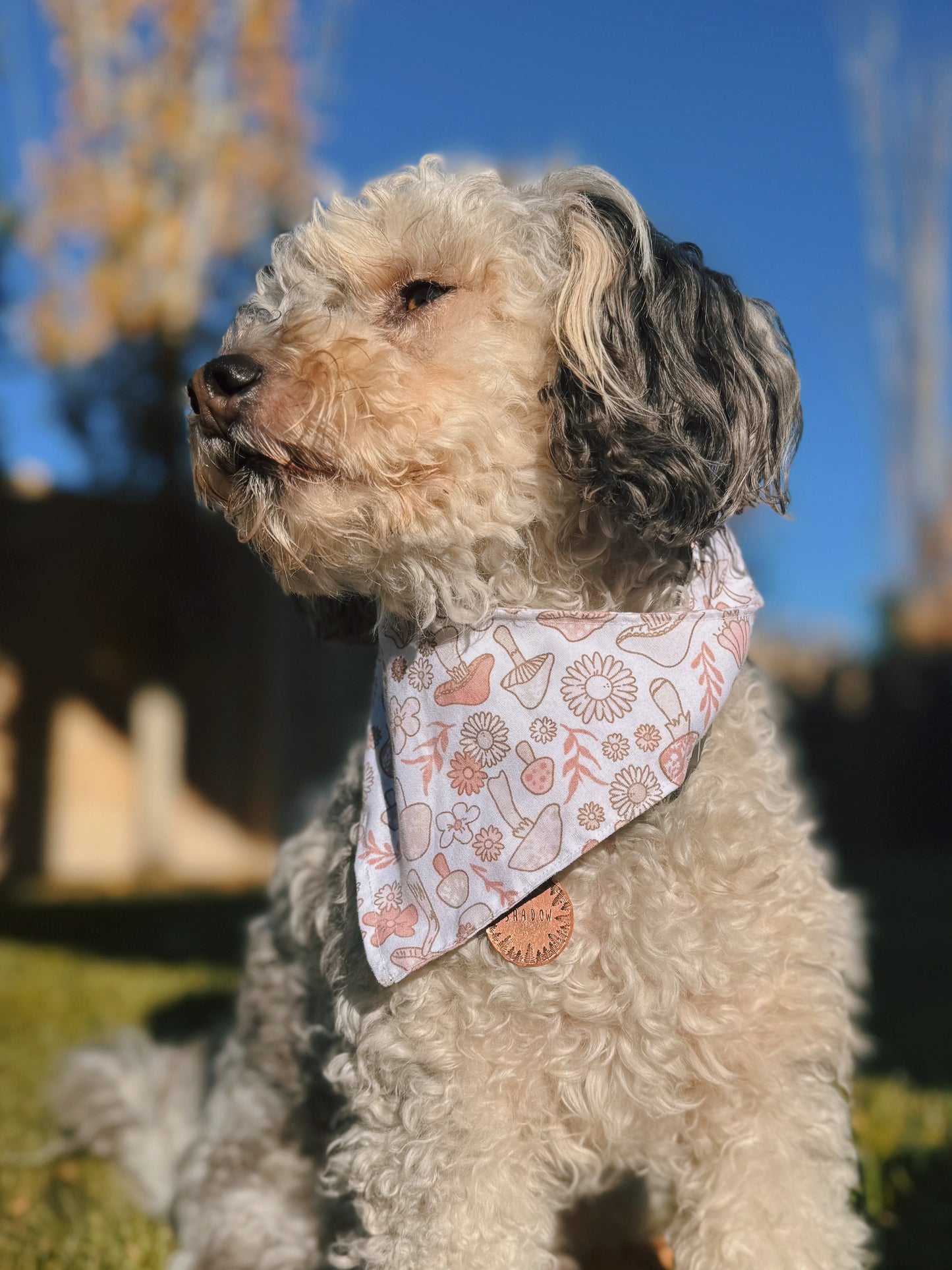 Pink Mushroom tie on dog bandana