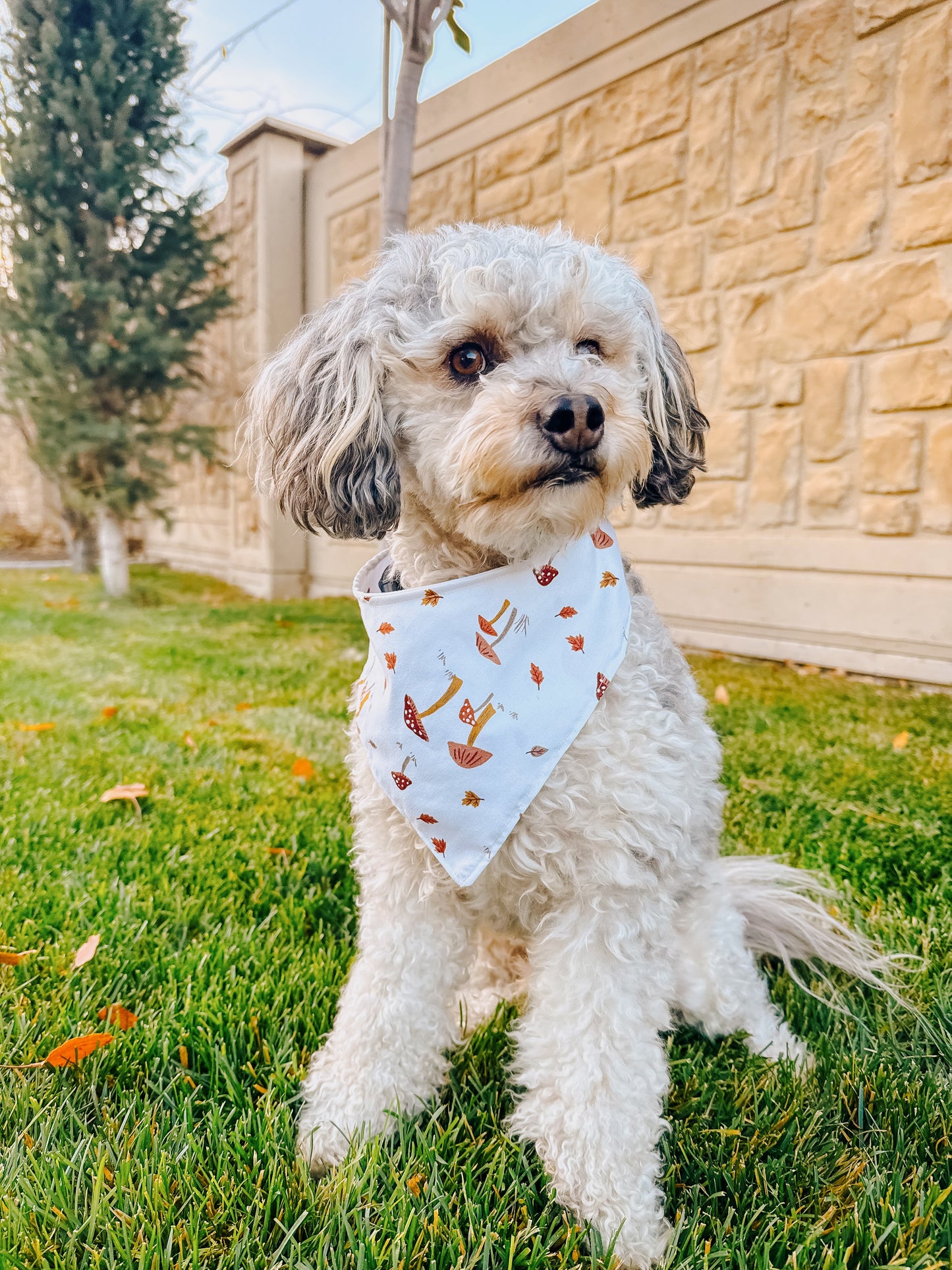 Mushroom tie on dog bandana