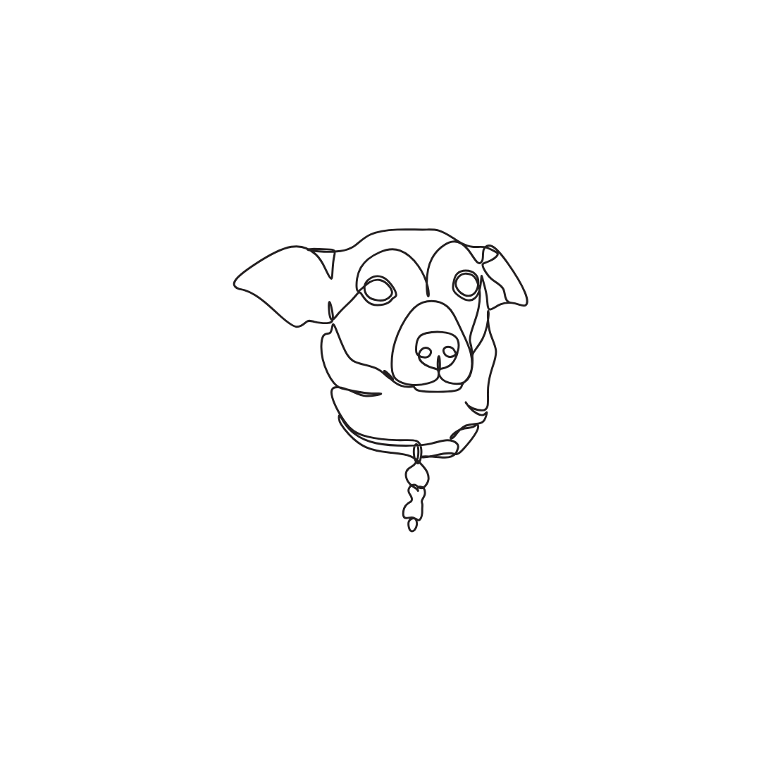Engraved pet necklace