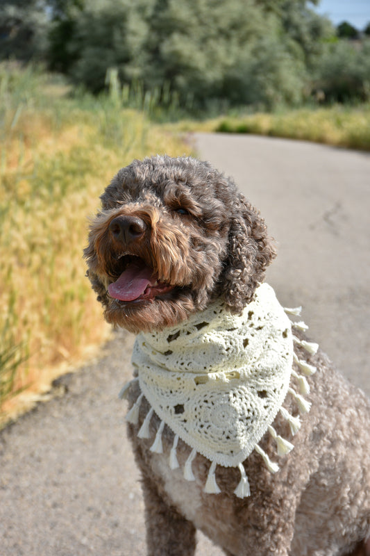 White dog bandana