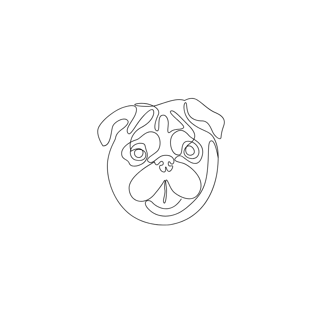 Engraved pet necklace