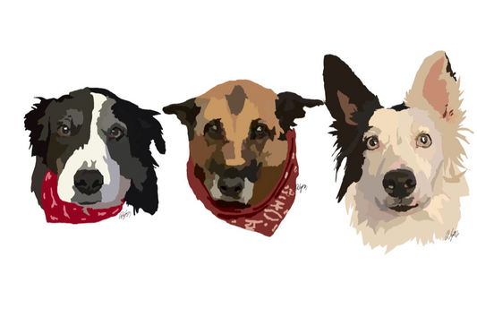 Custom pet portrait