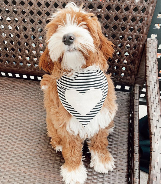 Heart bandanna