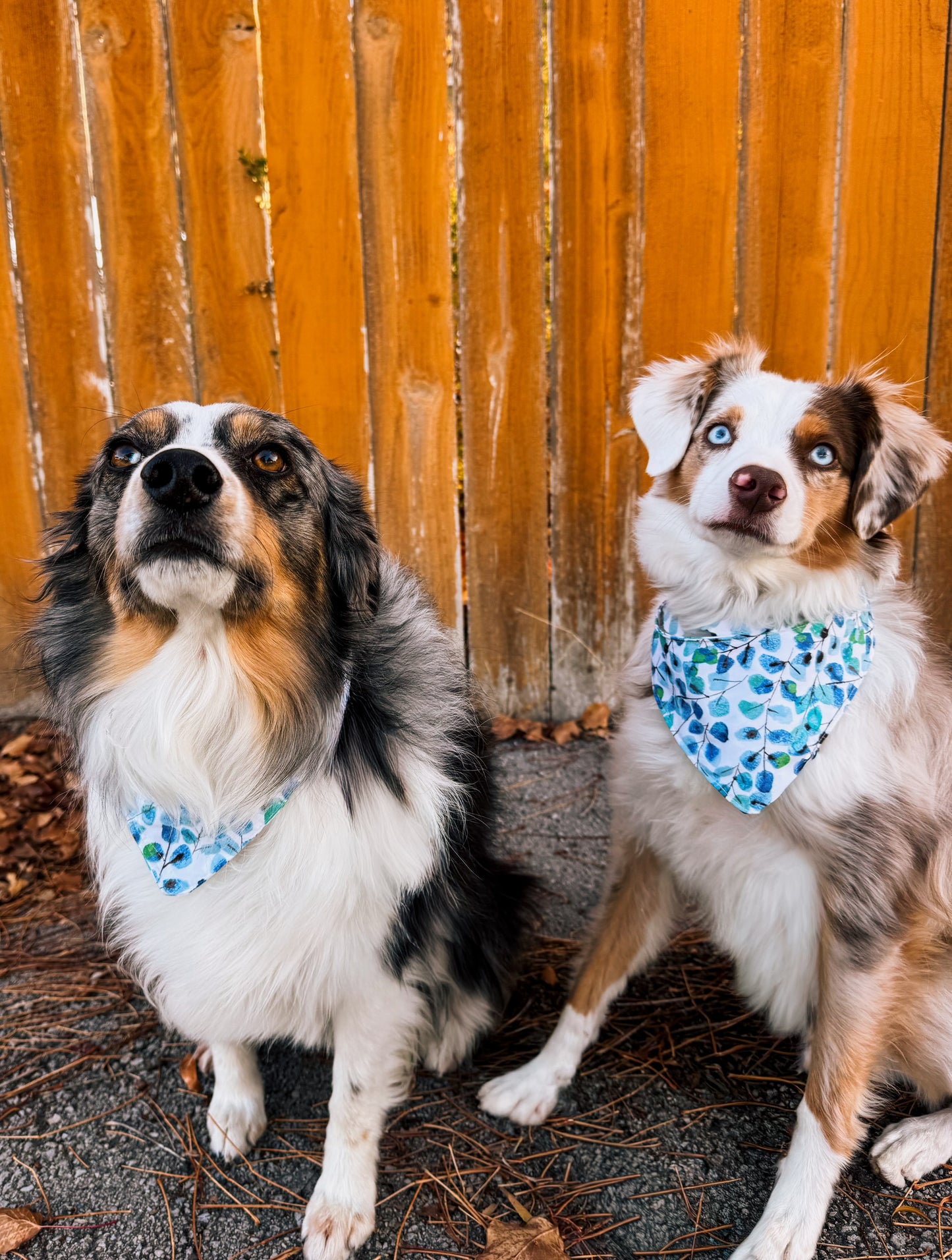 Winter watercolor tie on dog bandana