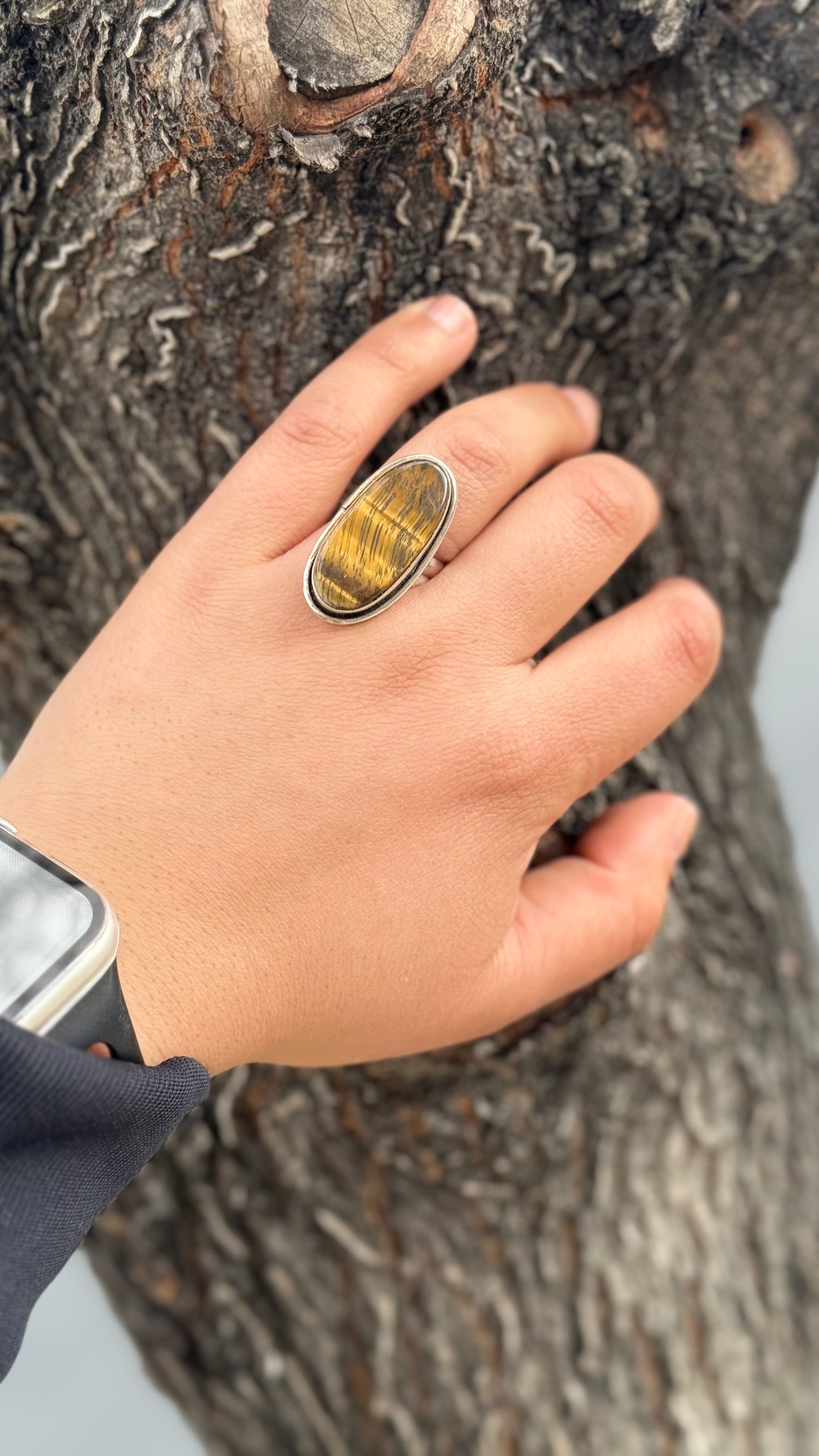 Adjustable tigers eye ring