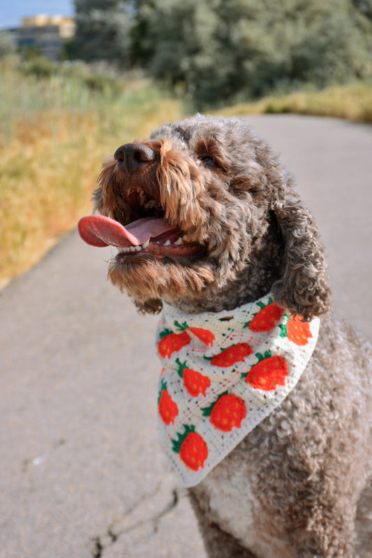 Strawberry dog bandana